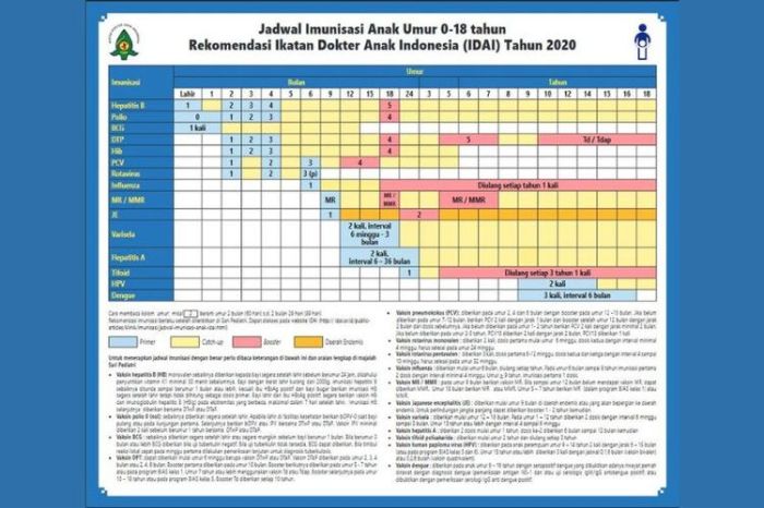 Menjelajahi Imunisasi Rutin: Jadwal dan Manfaatnya untuk Perkembangan ... Imunisasi Anak: Jadwal dan Manfaatnya
