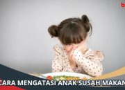 Tips Mengatasi Anak Susah Makan