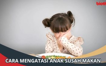 Tips Mengatasi Anak Susah Makan