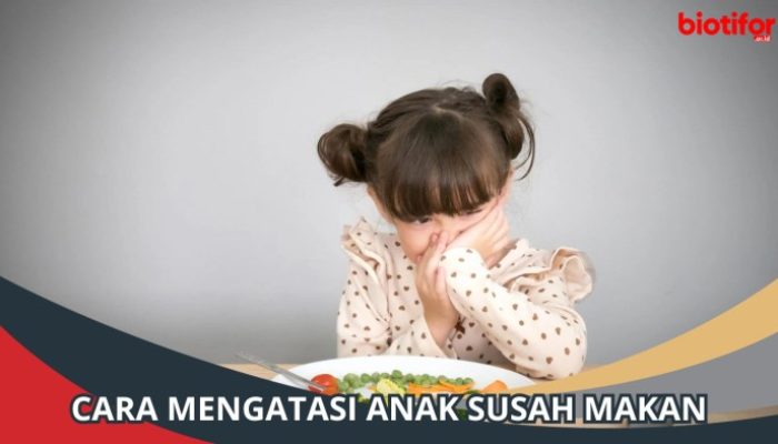 Tips Mengatasi Anak Susah Makan dengan Kreatif