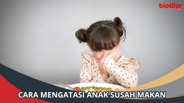 Tips Mengatasi Anak Susah Makan