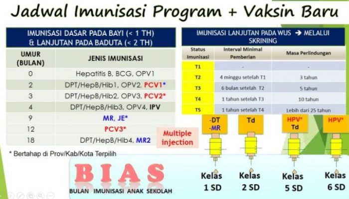 Imunisasi Anak Jadwal dan Manfaatnya yang Penting