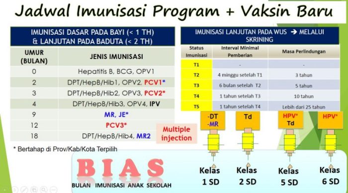Mengenal 3 Jenis Baru Vaksin Wajib Untuk Anak Anak - vrogue.co Mengenal 3 Jenis Baru Vaksin Wajib Untuk Anak Anak - vrogue.co