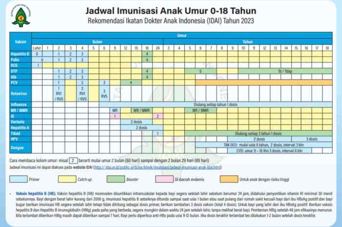 Ini Jadwal Imunisasi Anak Menurut Rekomendasi IDAI Imunisasi Anak: Jadwal dan Manfaatnya