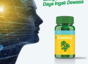 Makanan otak daya ingat baik daftar meningkatkan