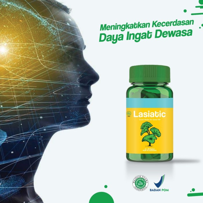Makanan otak daya ingat baik daftar meningkatkan Makanan otak daya ingat baik daftar meningkatkan