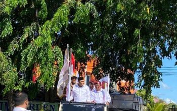 Gerindra Sebut Ada Upaya Politisasi Sengketa Pulau Aceh