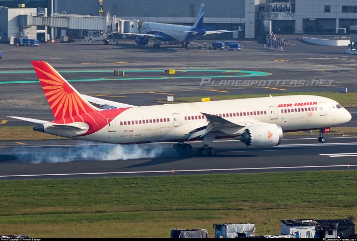 VT-ANE Air India Boeing 787-8 Dreamliner Photo by Aneesh Bapaye | ID ... VT-ANE Air India Boeing 787-8 Dreamliner Photo by Aneesh Bapaye | ID ...