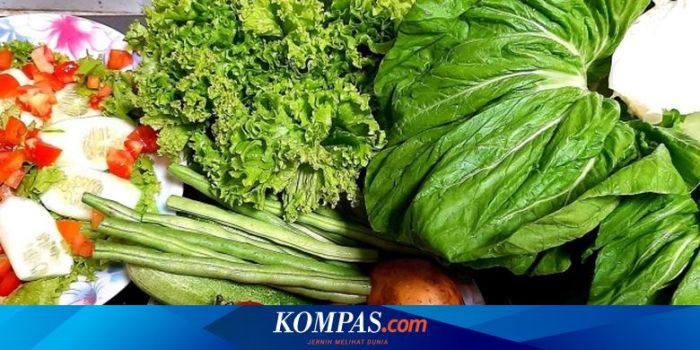 Ini Tanda-tanda Tubuh Kekurangan Vitamin D yang Harus Diwaspadai 6 Tanda Tubuh Kekurangan Vitamin D