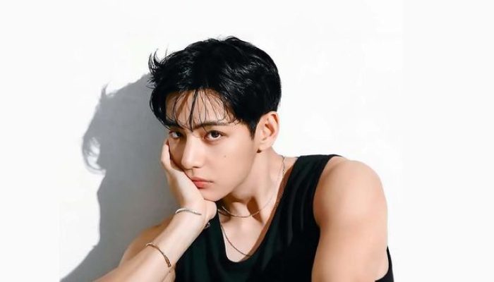 V BTS Mengakuisisi Apartemen Rp156 Miliar Secara Tunai di Kawasan Elite Seoul