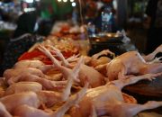 Pedagang Ayam Tangerang Mengeluh Sepi Pembeli Akibat Harga Tinggi