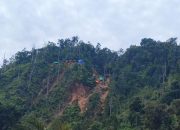 321 Hektare Tambang Ilegal Kembali Menjadi Milik Negara