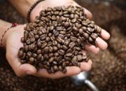 Waktu Terbaik Minum Kopi Agar Tidak Mati Muda, Hindari Kesalahan!