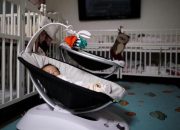 Perusahaan Korea Berikan Rp1,2 M untuk Karyawan dengan Bayi