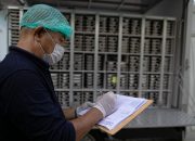 Cegah Penyakit, Larangan Dapur Dekat TPA dan Kandang Hewan