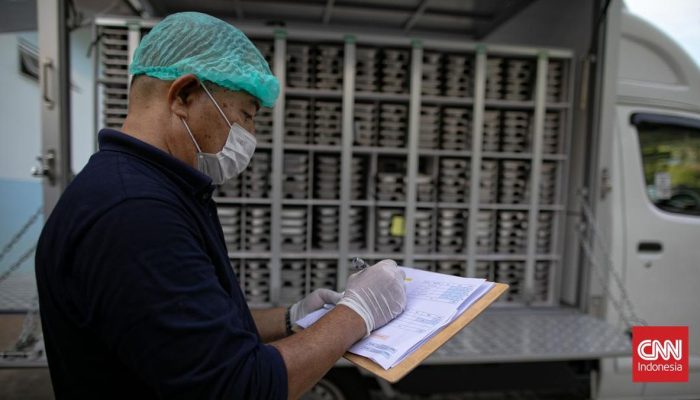 Cegah Penyakit, Larangan Dapur Dekat TPA dan Kandang Hewan