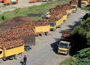 Wagub Aceh Bertanya Pada Sopir Truk Pelat Medan Sudah Makan Saat Pertemuan