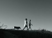 Waktu Ideal untuk Olahraga Jalan Kaki Agar Mendapatkan Hasil Maksimal