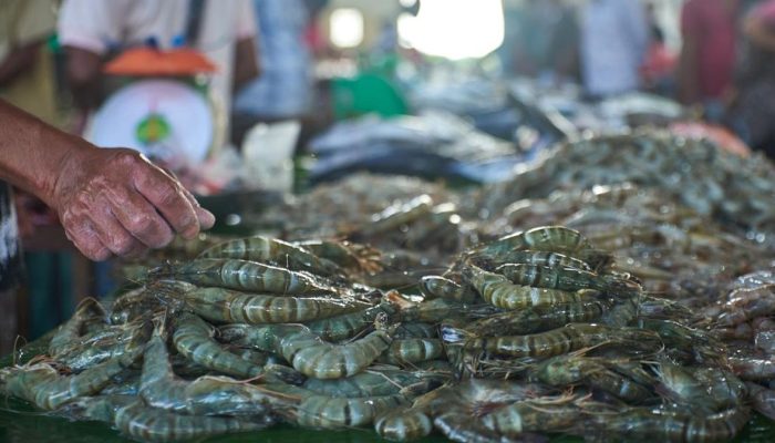 Kasus di Cikande, KKP Pastikan Indonesia Tetap Dapat Ekspor Udang ke Amerika Serikat