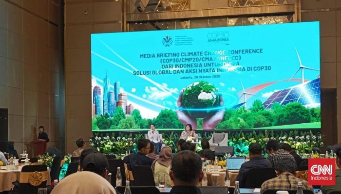 Indonesia Siapkan 90 Juta Ton Kredit Karbon di COP 30 Amazonia