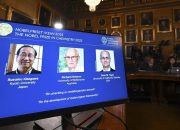 Kerangka Logam-Organik Ditemukan Bawa Tiga Ilmuwan Menang Nobel Kimia 2025