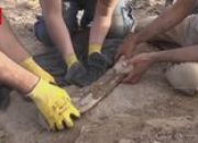 Fosil Dinosaurus Berusia 70 Juta Tahun Ditemukan di Argentina