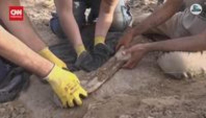 Fosil Dinosaurus Berusia 70 Juta Tahun Ditemukan di Argentina