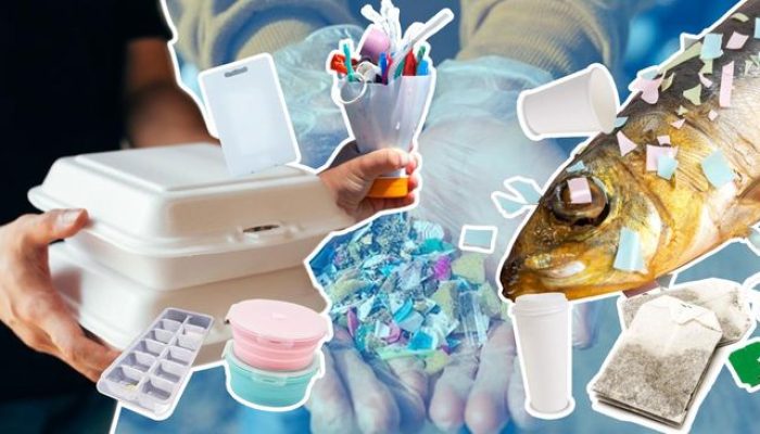 Waspadai 7 Barang di Dapur yang Rentan Terpapar Mikroplastik