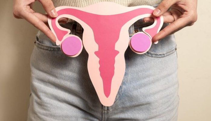 Viral Rahim Copot di Sosial Media, Ini Komentar Perkumpulan Dokter Kandungan