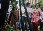 Kader PDIP Diperinta Megawati untuk Membantu Korban Bencana