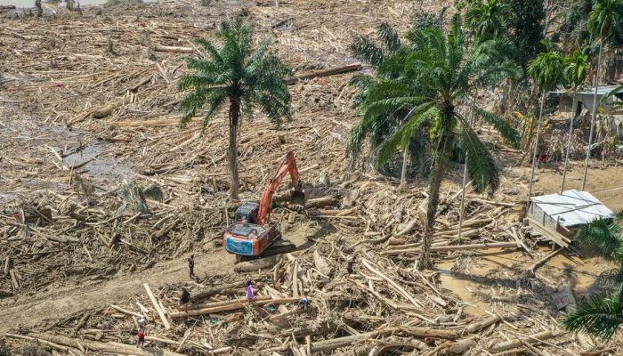 Satu Korporasi Tersangka Kasus Kayu Gelondongan Banjir di Sumatra