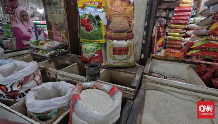 Pembaruan KBLI 2025 Tangkap Peluang Ekonomi Baru di Indonesia