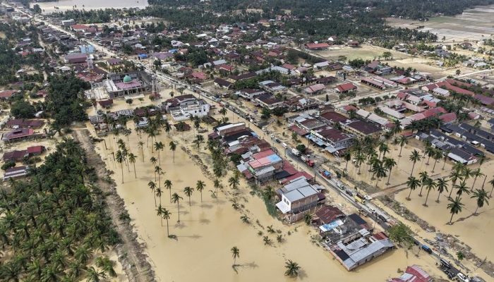 Bupati Aceh Tamiang Klarifikasi Isu 250 Warga Tewas Dalam Banjir Bandang