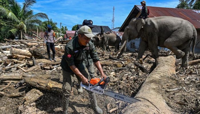 Bencana Sumatra Penuhi Indikator Status Nasional Menurut Komnas HAM Aceh