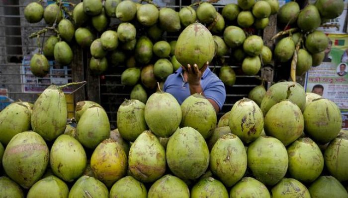 7 Waktu Tepat Minum Air Kelapa untuk Mendapatkan Khasiat Optimal
