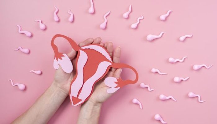 Remaja 14 Tahun Memiliki Sel Telur Seperti Wanita Usia 40 Tahun