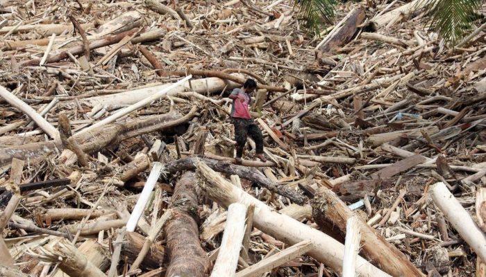 Setop Operasional 3 Perusahaan Tambang dan Sawit di Batang Toru Menurut Menteri LH