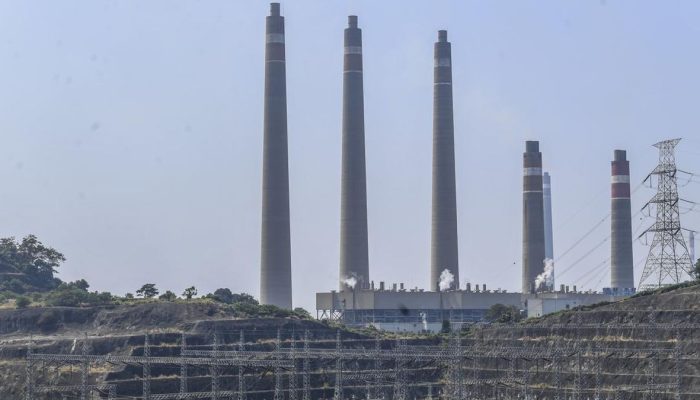 Target 10 Juta Ton Biomassa Jadi Bahan Bakar PLTU Di 2030