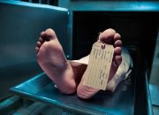 Pasangan Kekasih Mengakhiri Hidup Bersama di Buleleng Bali