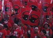 Alasan Jawa Tengah Dikenal Sebagai Kandang Banteng