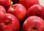 12 Buah dan Sayuran Dengan Kandungan Pestisida Tertinggi