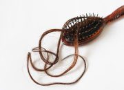 Perawatan Rambut Rontok Usulan Penanggungan oleh Negara