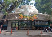 Masa Depan Kebun Binatang Bandung Akan Ditentukan Dalam 2 Bulan, Apa Pertimbangannya?