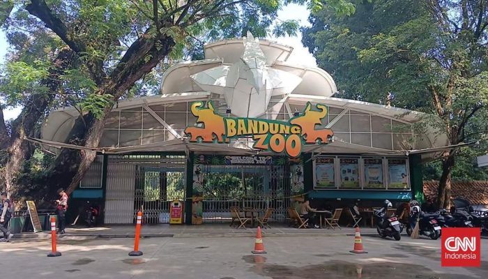 Masa Depan Kebun Binatang Bandung Akan Ditentukan Dalam 2 Bulan, Apa Pertimbangannya?