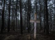 Penemuan 100 Tengkorak oleh Polisi dalam Kasus Penjarahan Kuburan