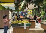 Diskon 50% dan 20% di Transmart Full Day Sale Jangan Sampai Terlewat